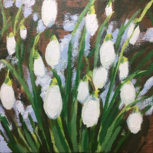 Snowdrops and Snow study 1