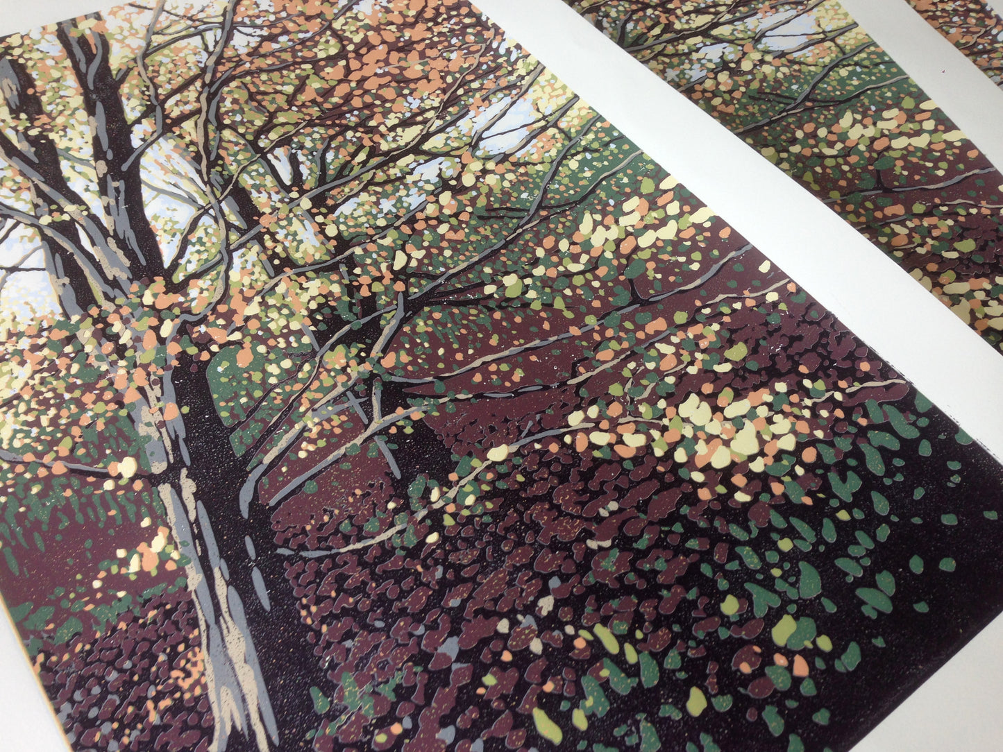 Autumn Beeches