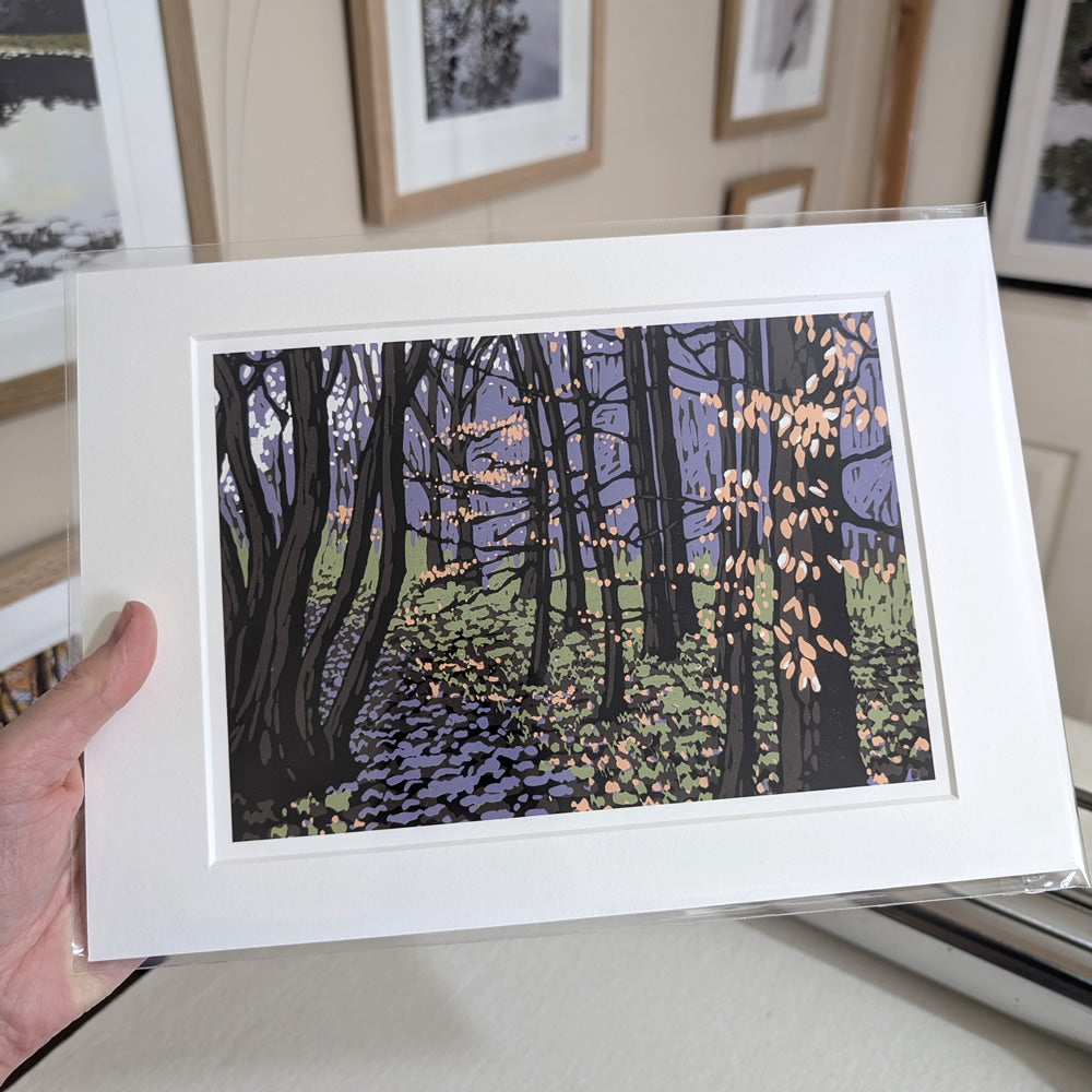 Beech Leaves in Winter reproduction