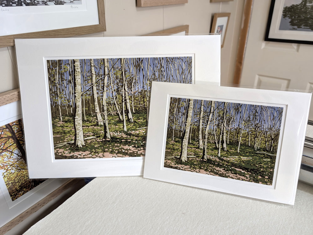Beeches in Early Spring reproduction