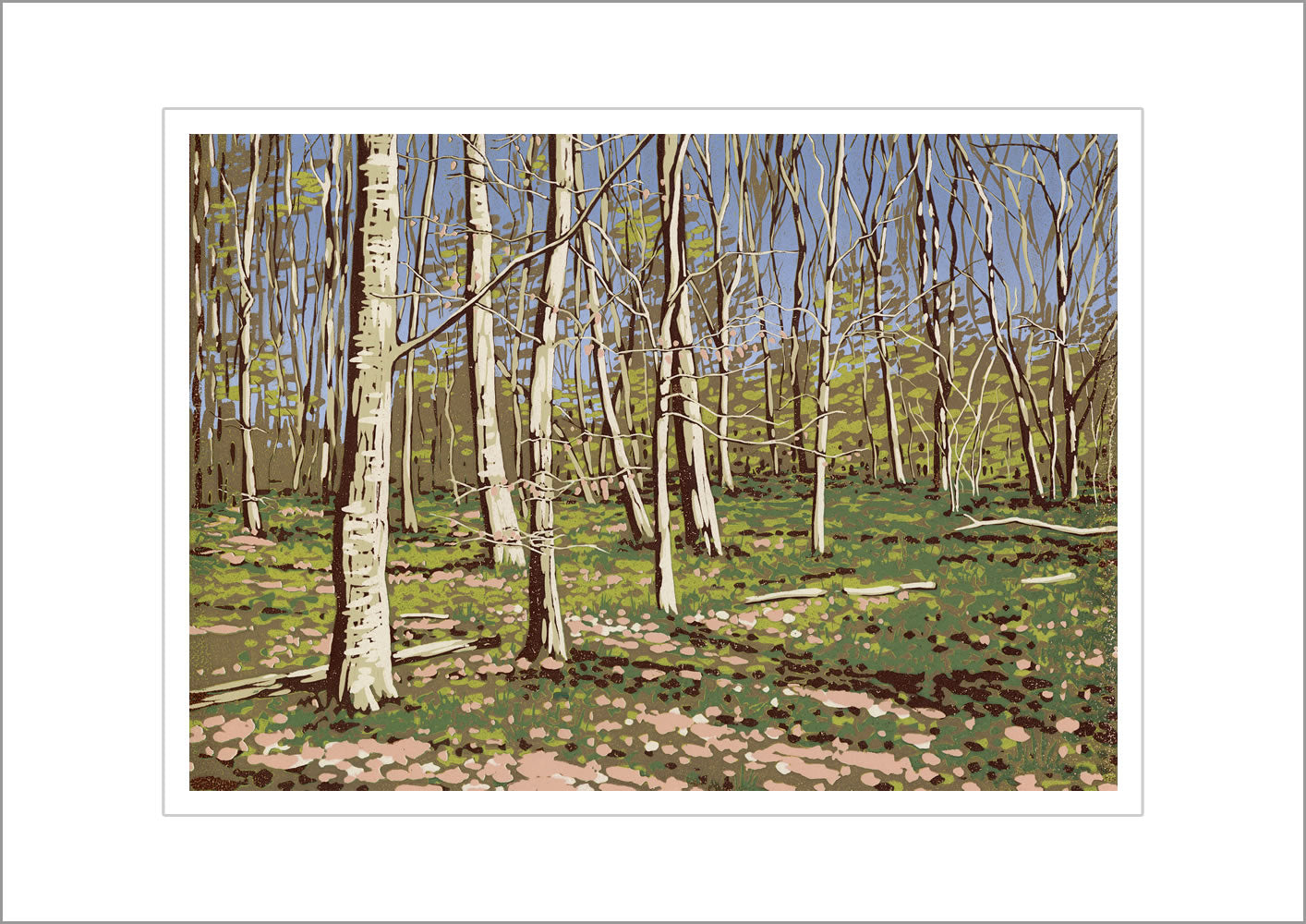 Beeches in Early Spring reproduction