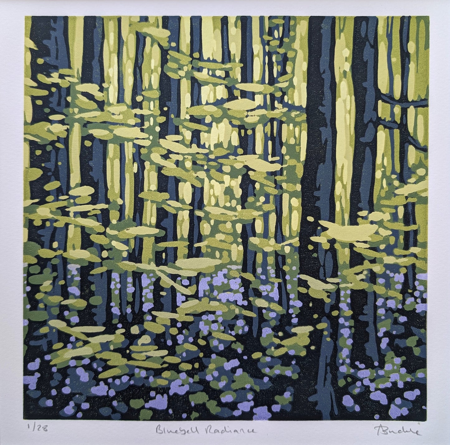 Bluebell Radiance