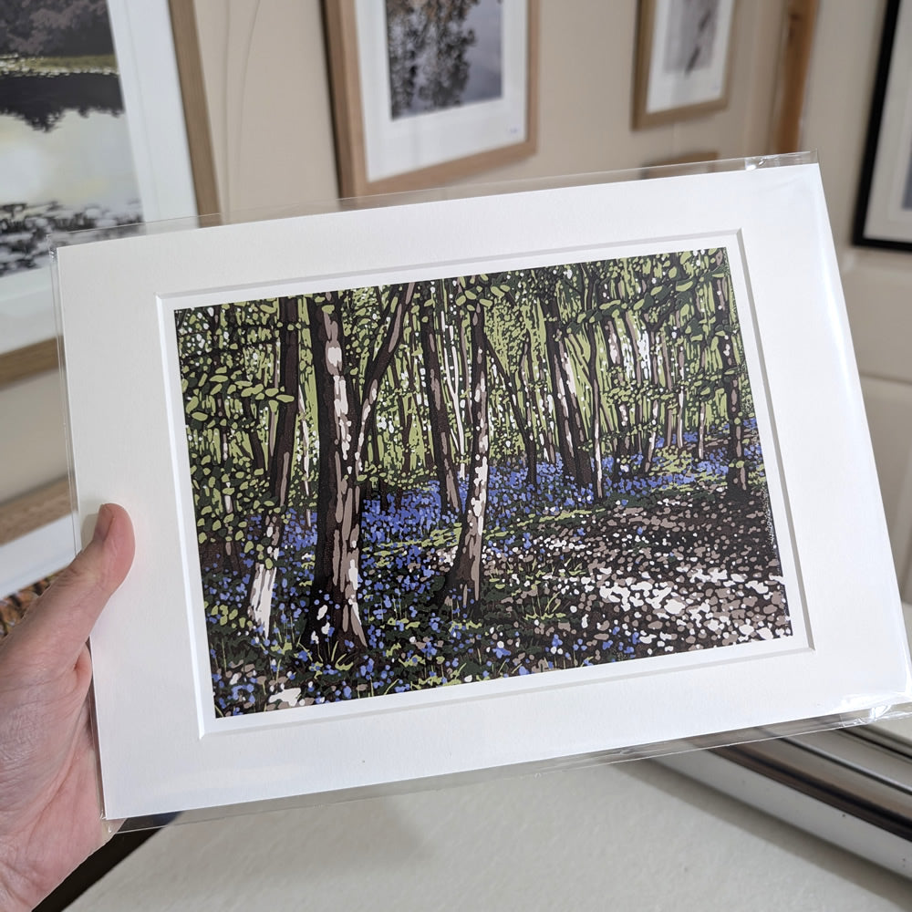Bluebells and Sunlight reproduction