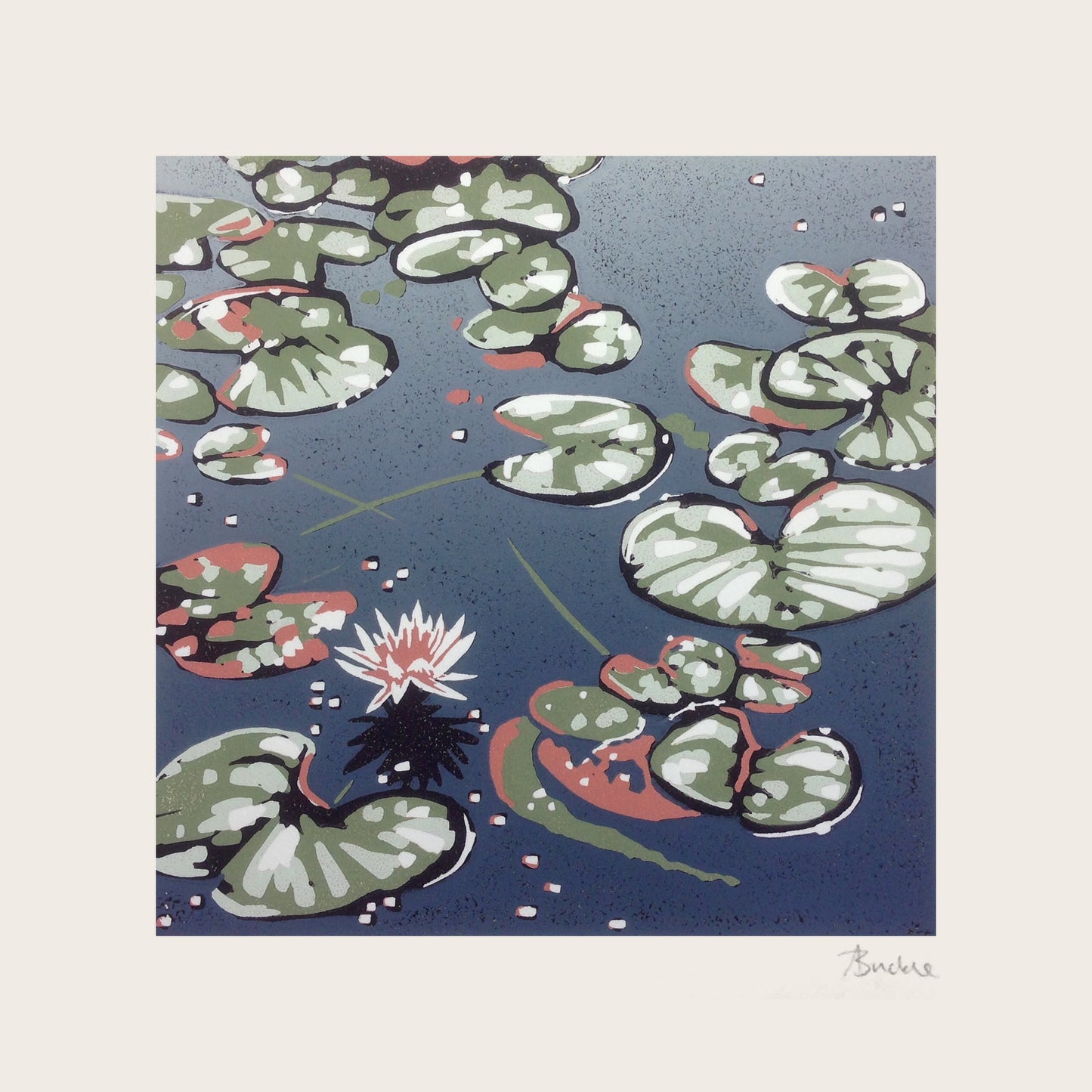Lilies and Light