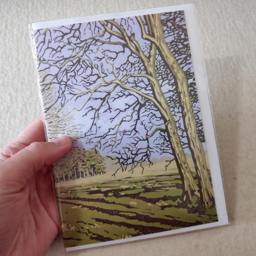 Winter Sun, Stowe card