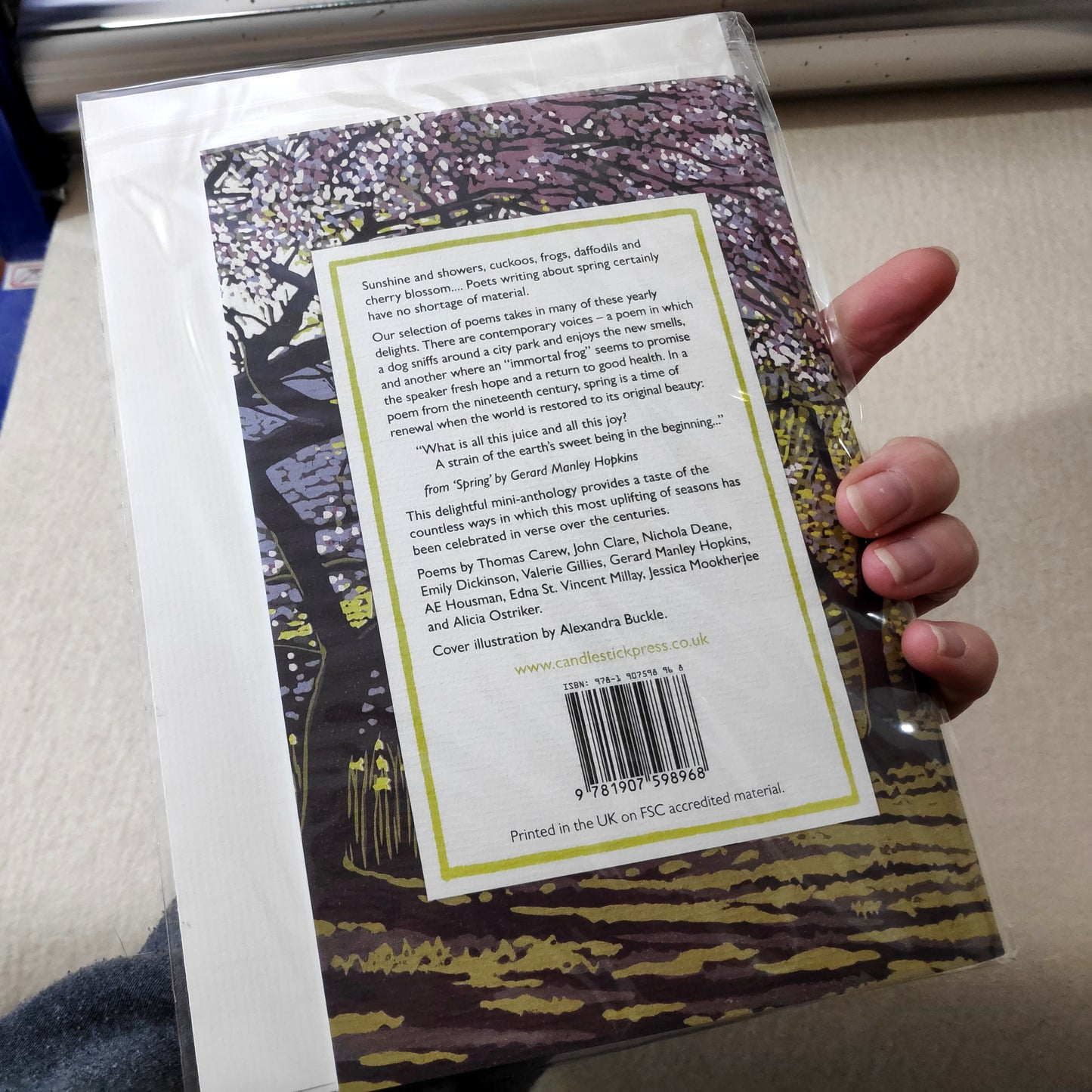 Ten Poems for Spring pamphlet