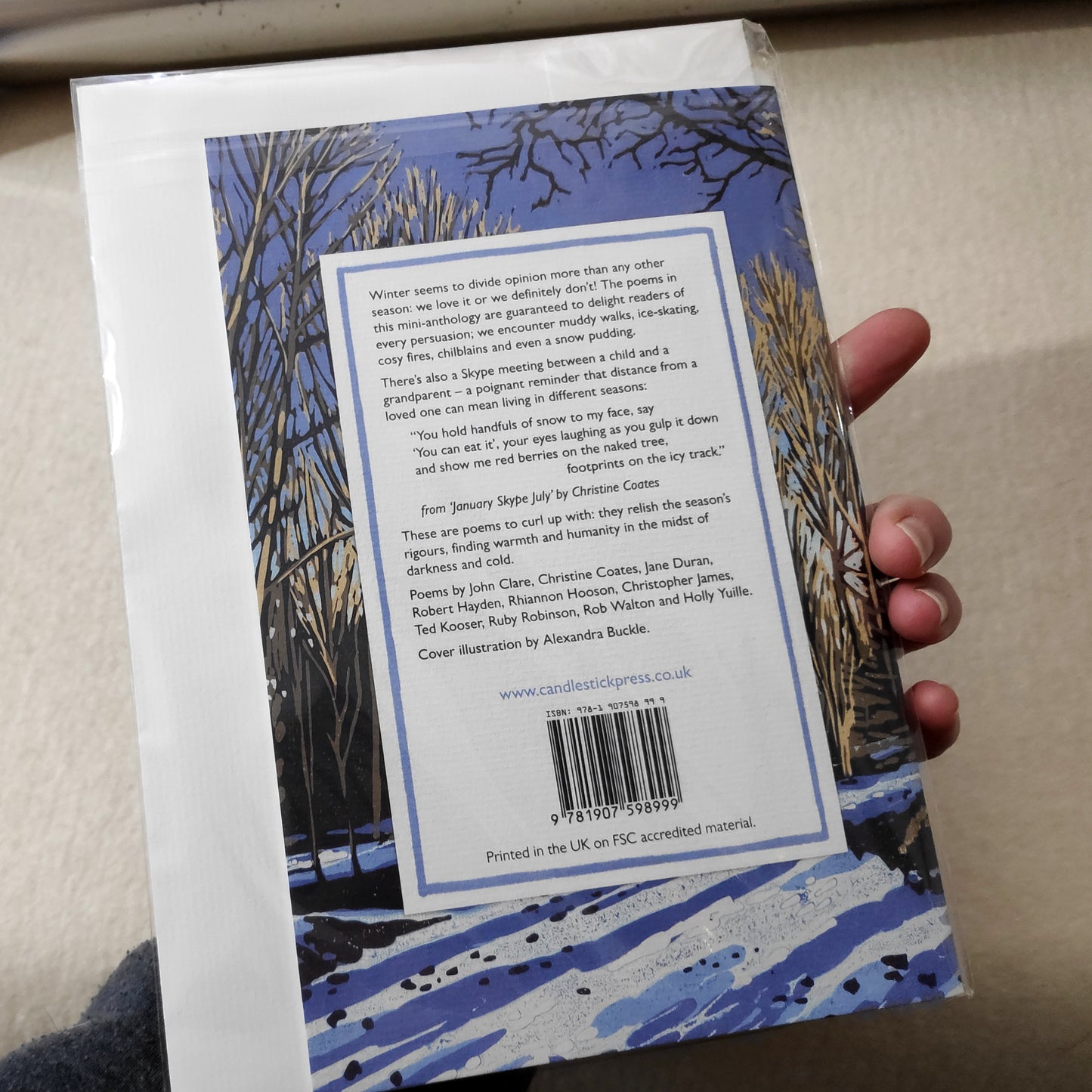 Ten Poems for Winter pamphlet
