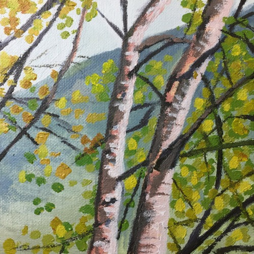 Grasmere Birches study 2