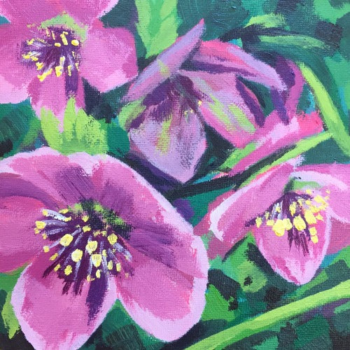 Woodland Hellebore study 1