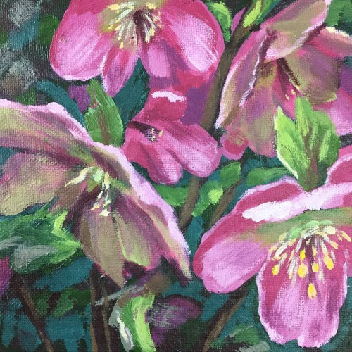 Woodland Hellebore study 2