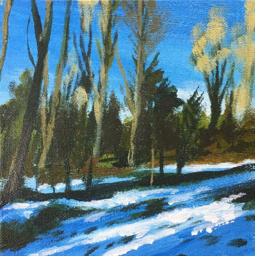 Woodland Snow study 1