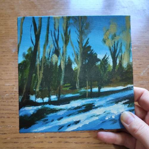 Woodland Snow study 1