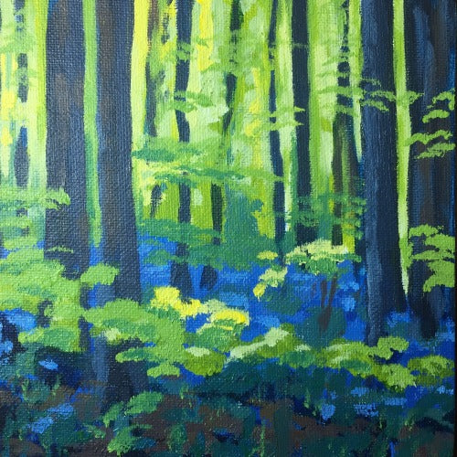 Bluebell Wood study 2