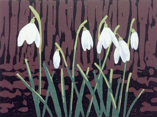 A Promise of Snowdrops