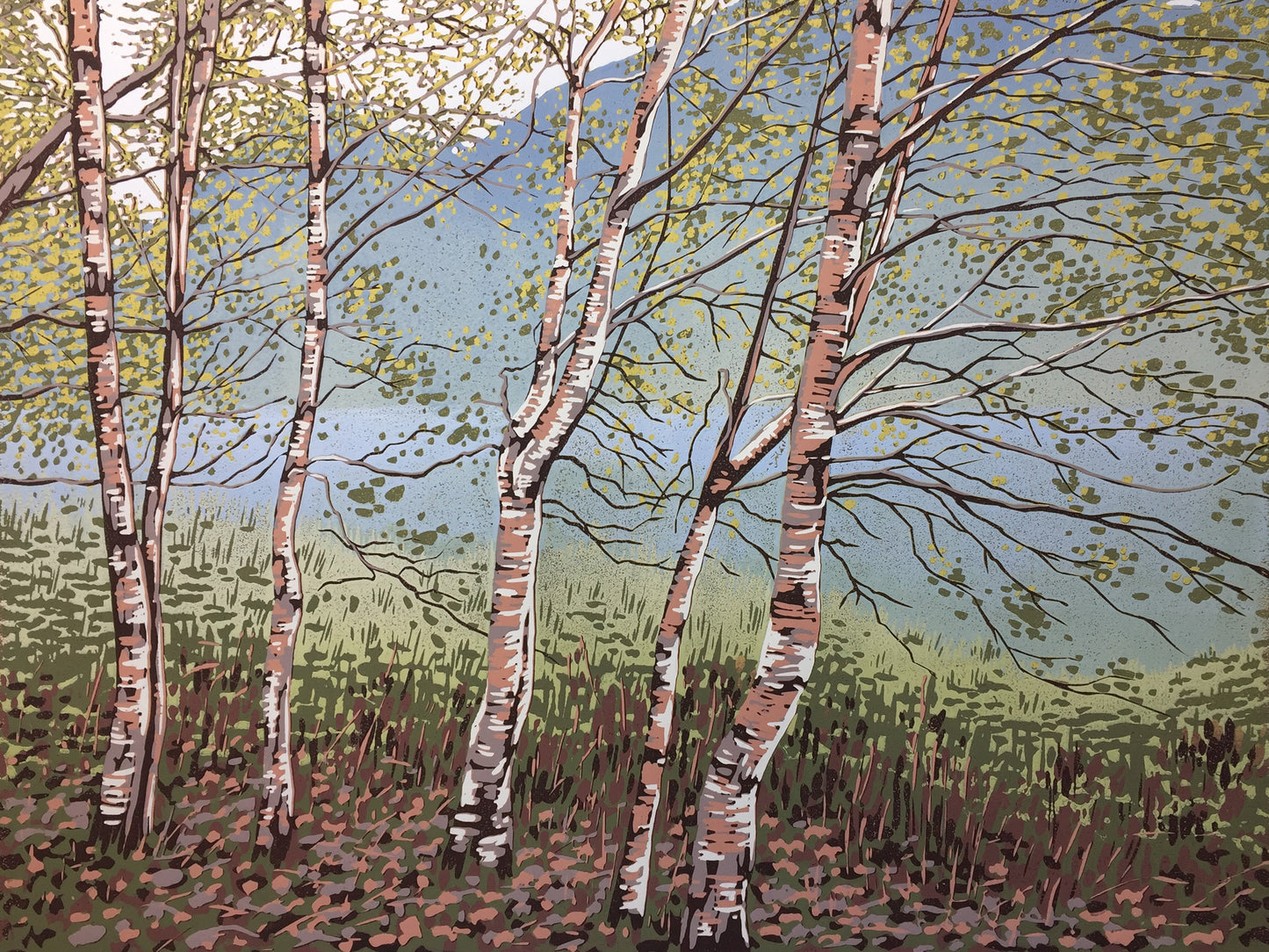 Grasmere Birches