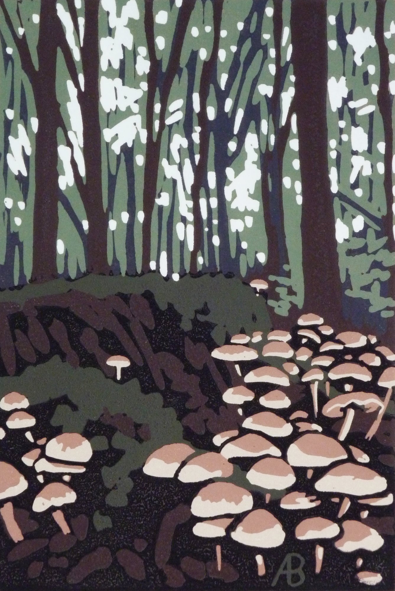 Stoke Wood Mushrooms