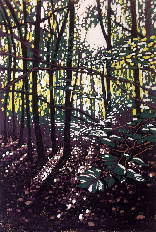 Summer Woodland Glow