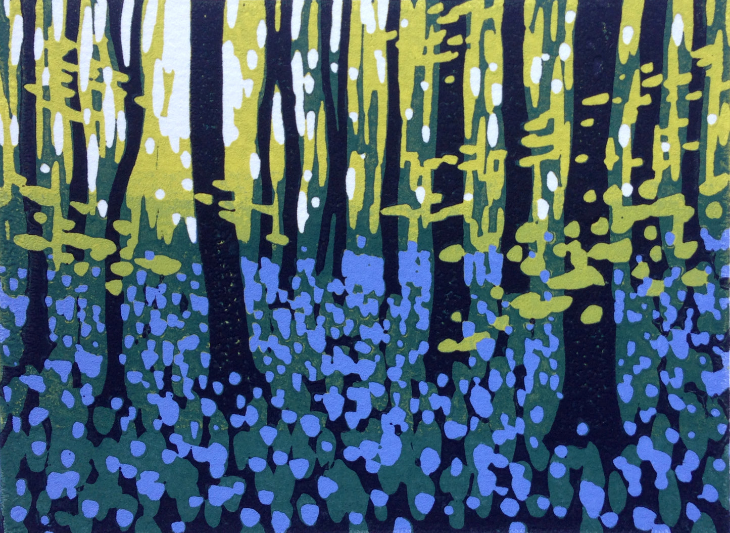 Mini Woodlands, Spring