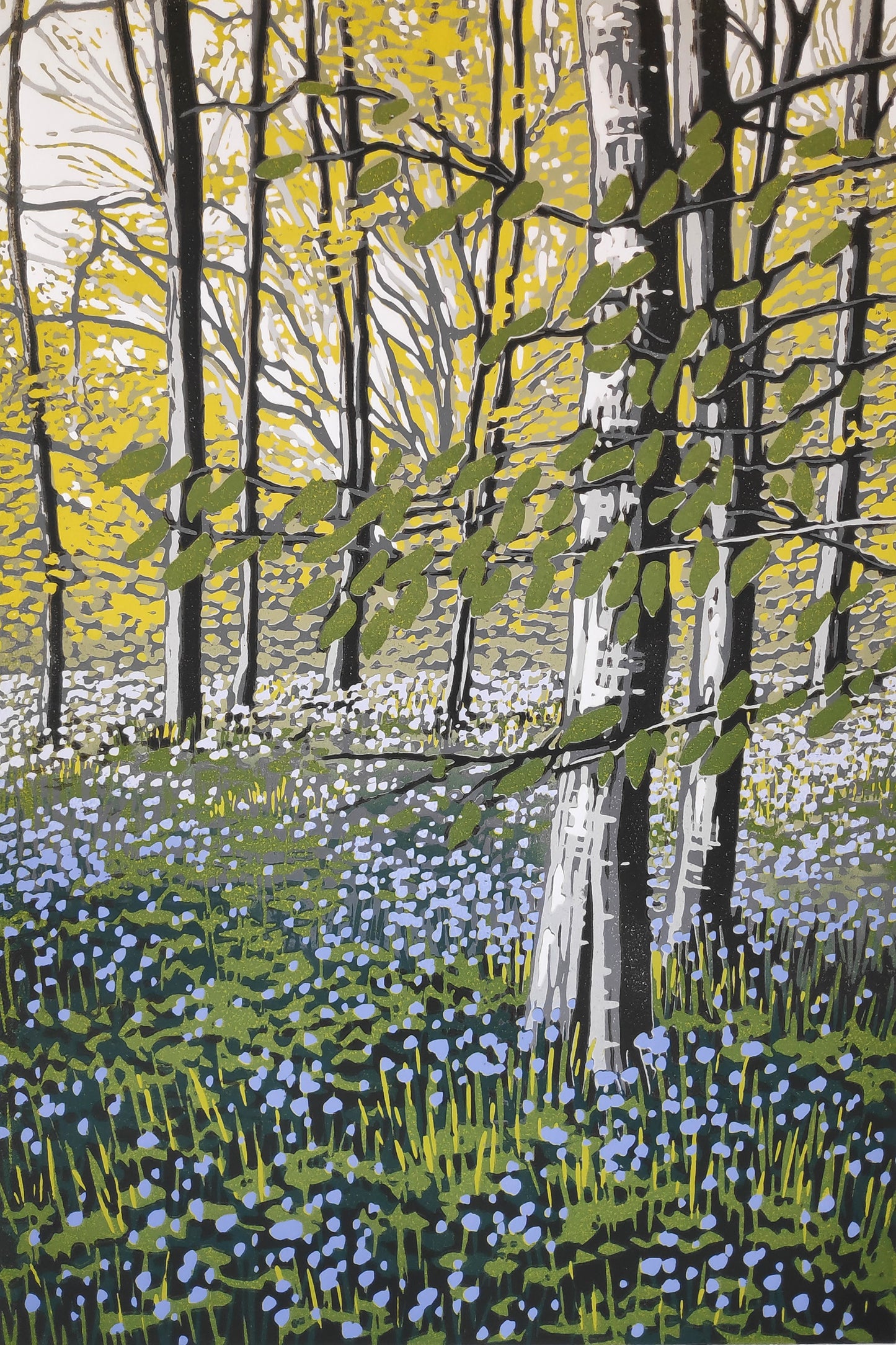 Bluebell Solitude