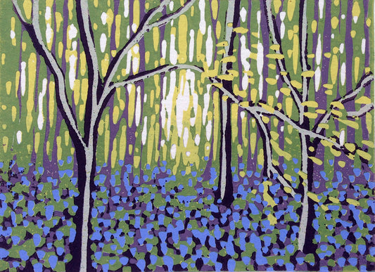 Bluebell Vision