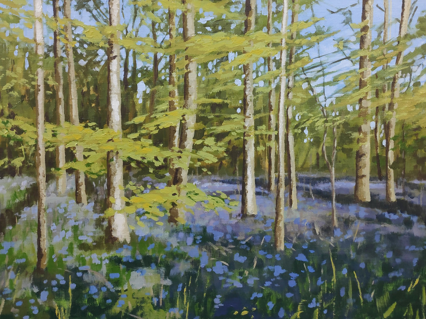 Bluebell Wood study