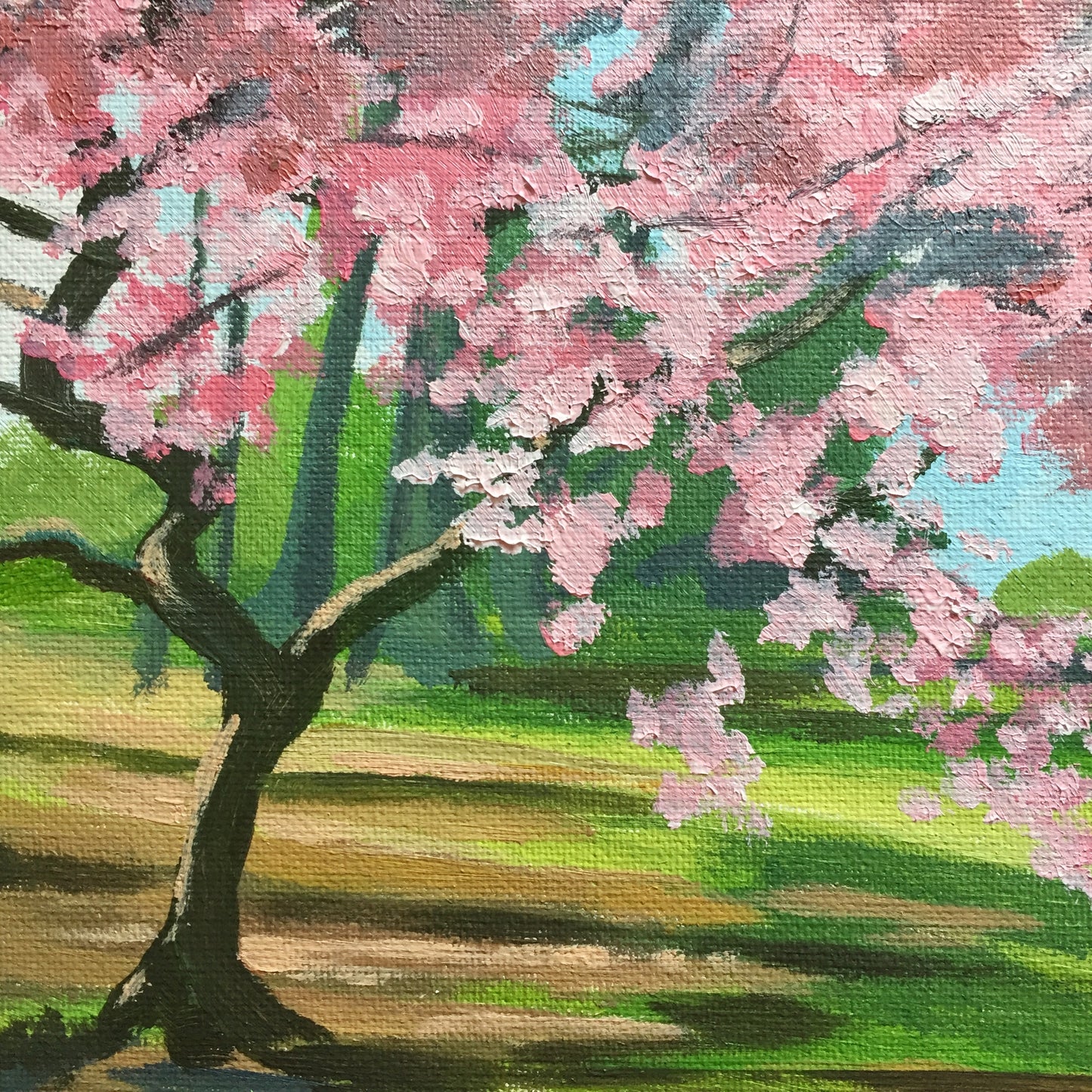 Batsford Blossom study 2