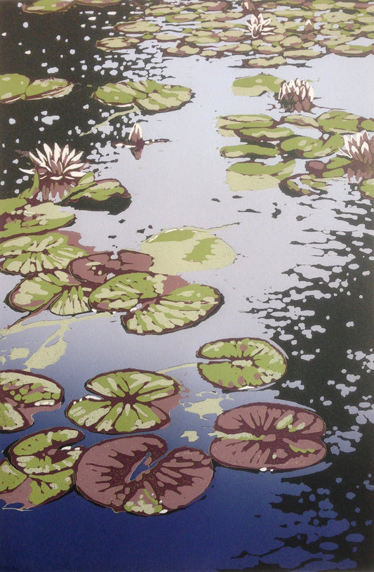 Lily Pond