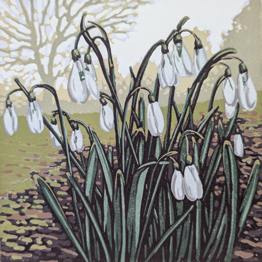 Snowdrop Serenity