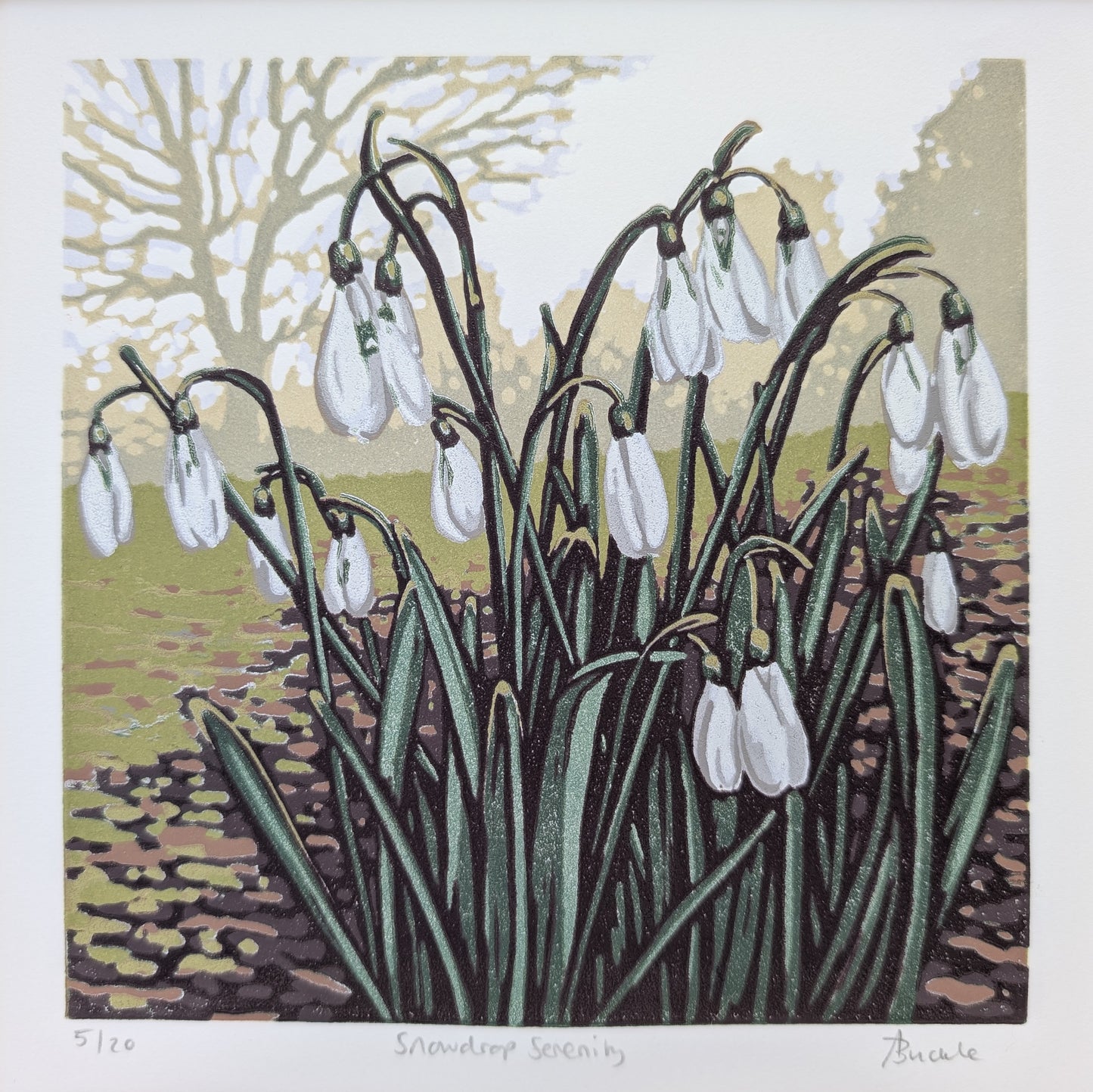Snowdrop Serenity