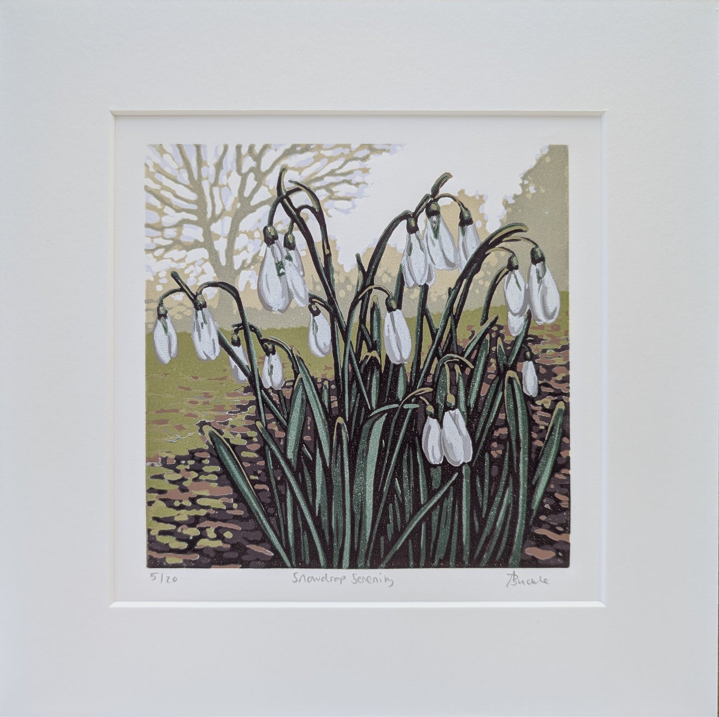 Snowdrop Serenity
