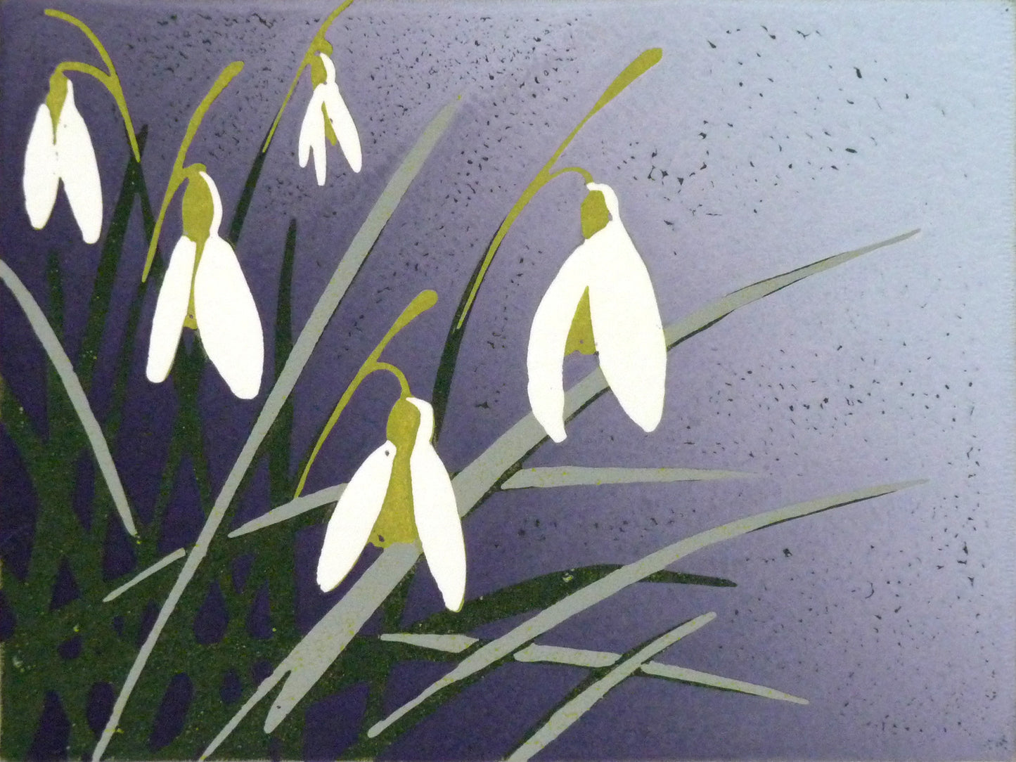 Snowdrops