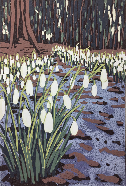 Snowdrops and Melting Snow