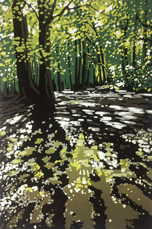 Summer Woodland Puddles