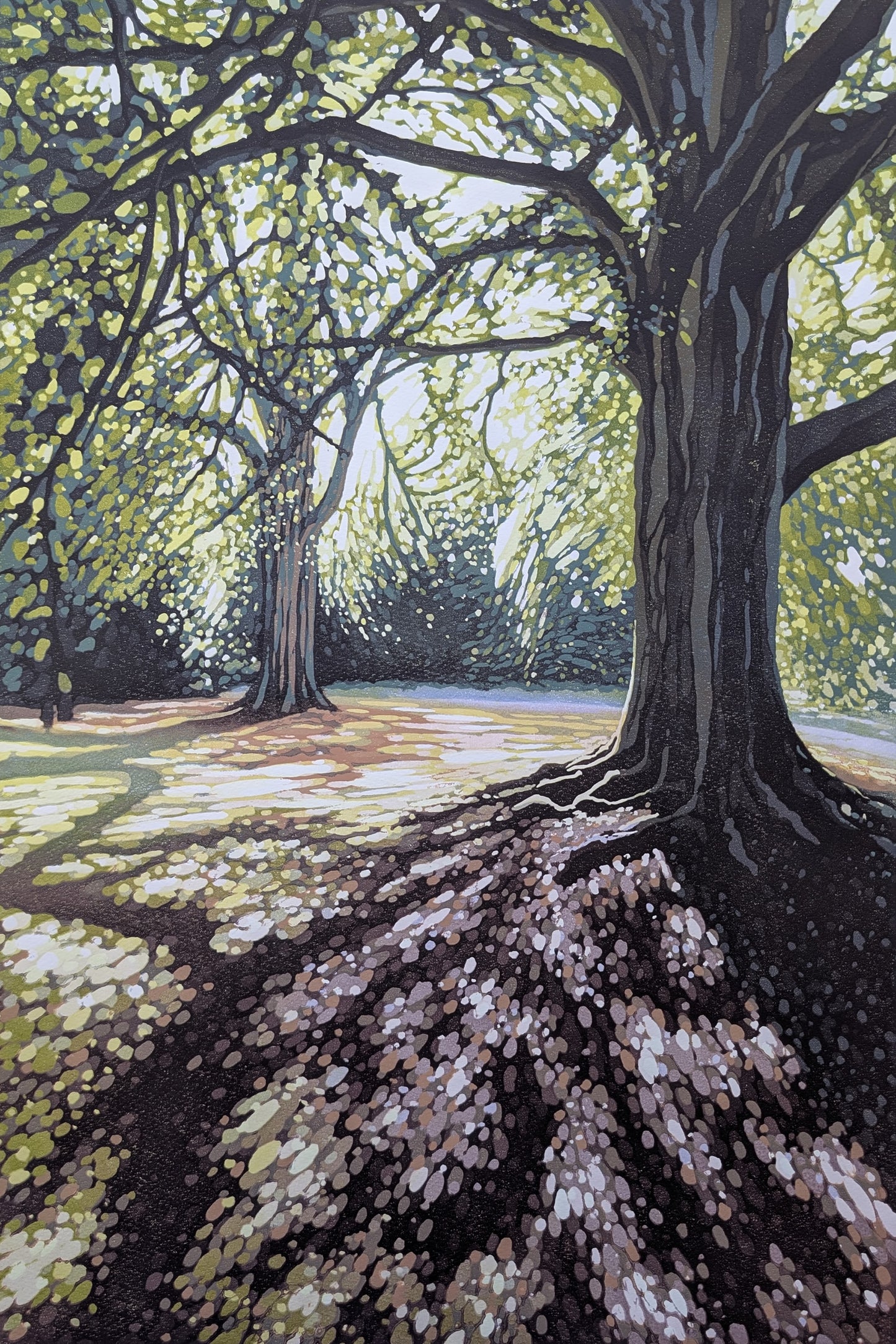 Summer Tree Shade