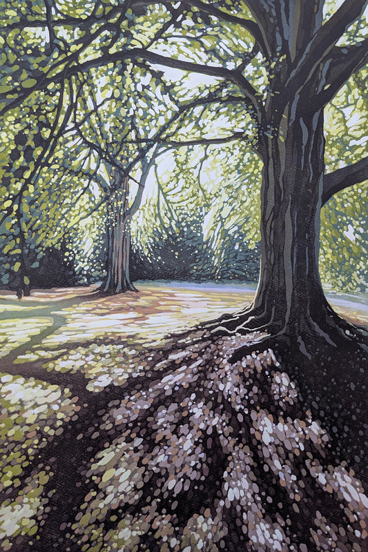 Summer Tree Shade