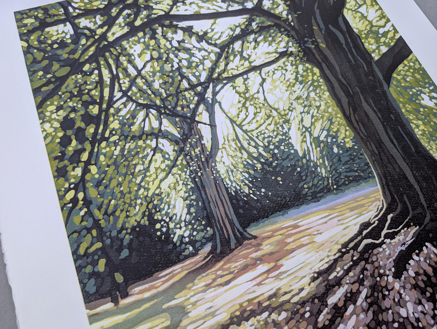 Summer Tree Shade