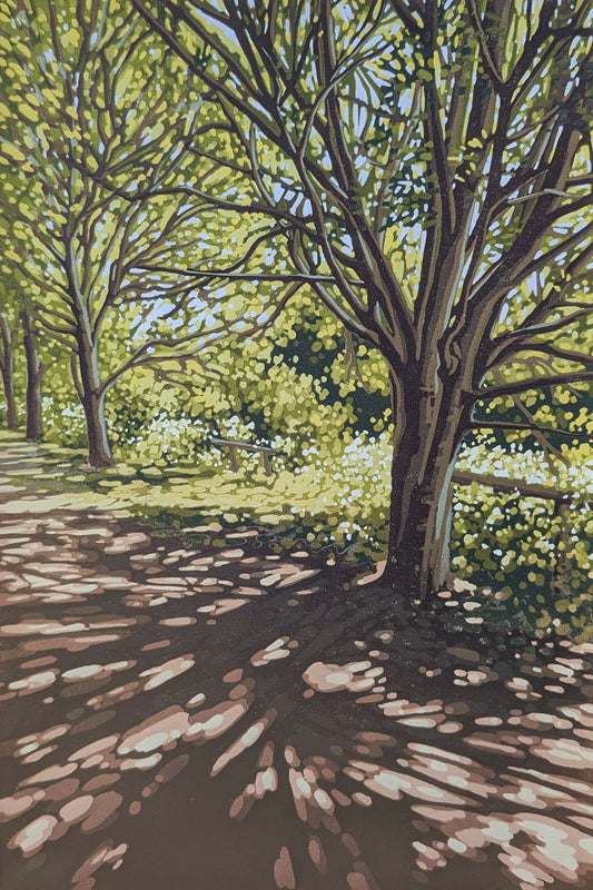 Sunlit Path