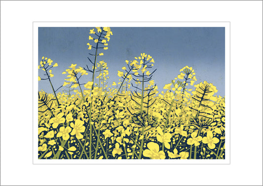 Sunshine Fields reproduction