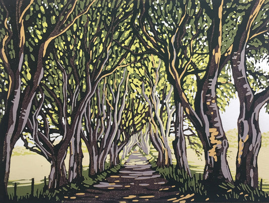 The Dark Hedges