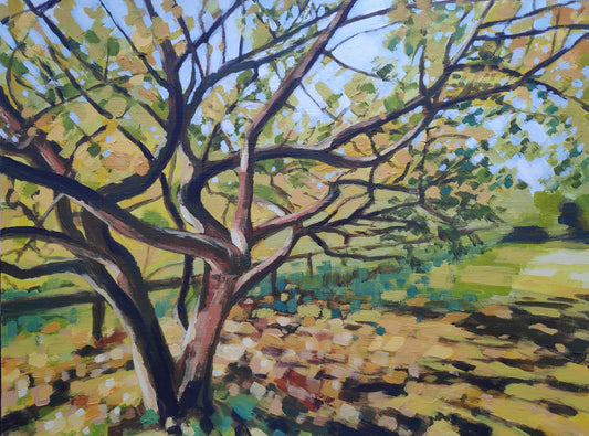 Yellow Tree